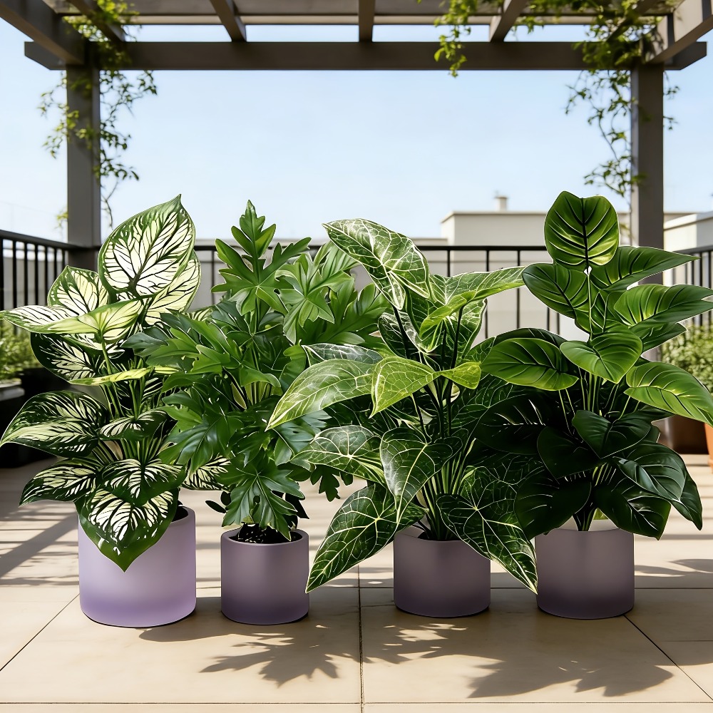 Dracaena Marginata - Set di 4 Piante Artificiali con