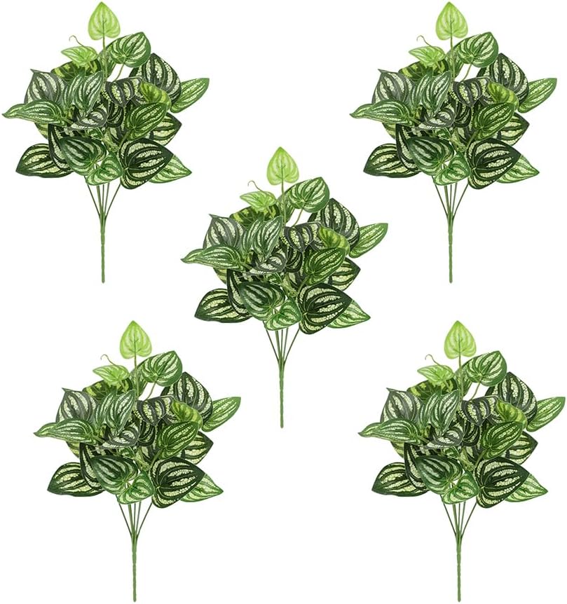 Peperomia Watermelon - 5 pezzi anguria peperomia pianta artificiale