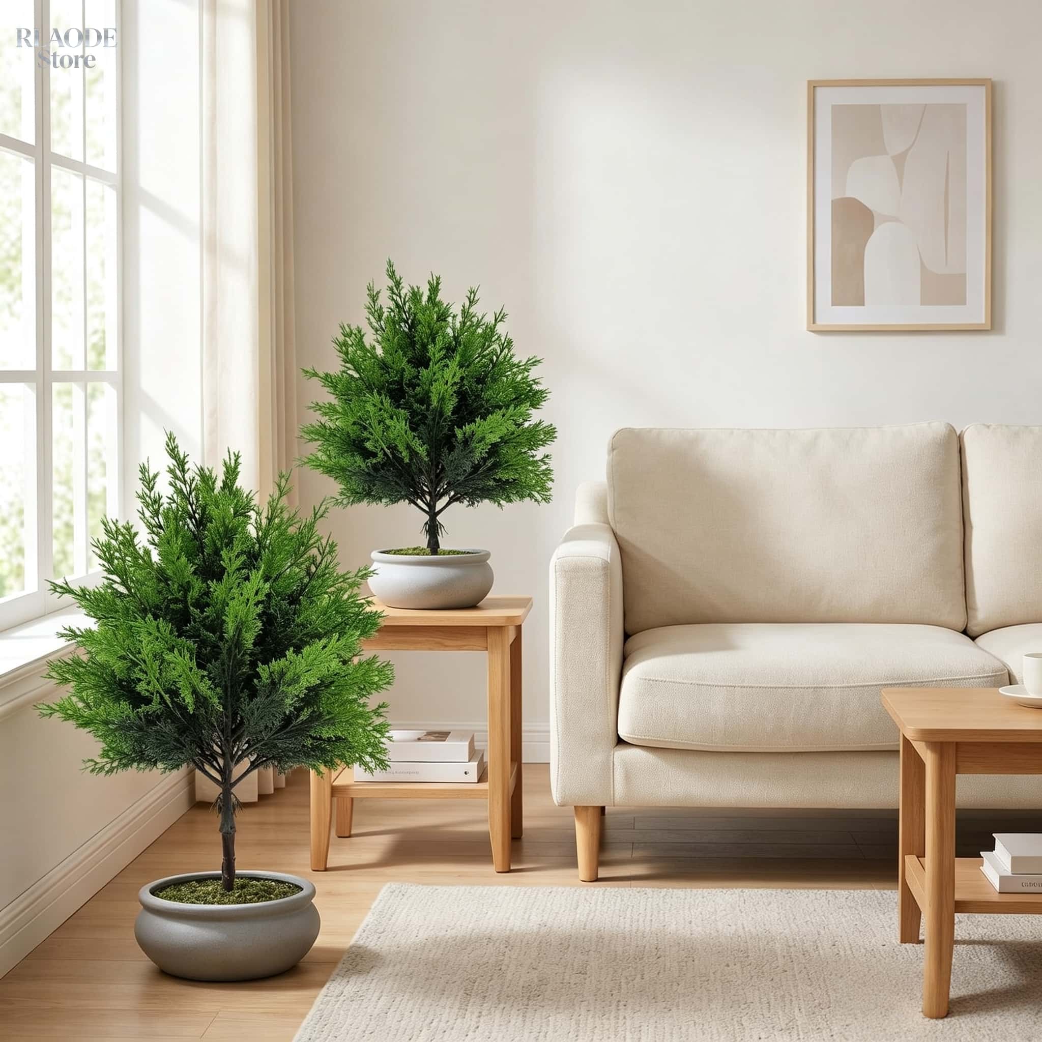 2 pezzi di verde artificiale p - Dracaena Marginata recensione e prezzo