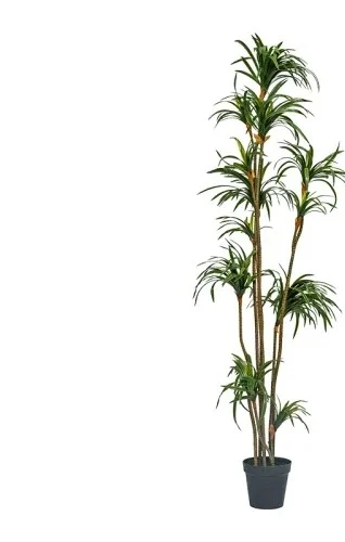 Dracena Artificiale Dracaena M - Dracaena Marginata recensione e prezzo