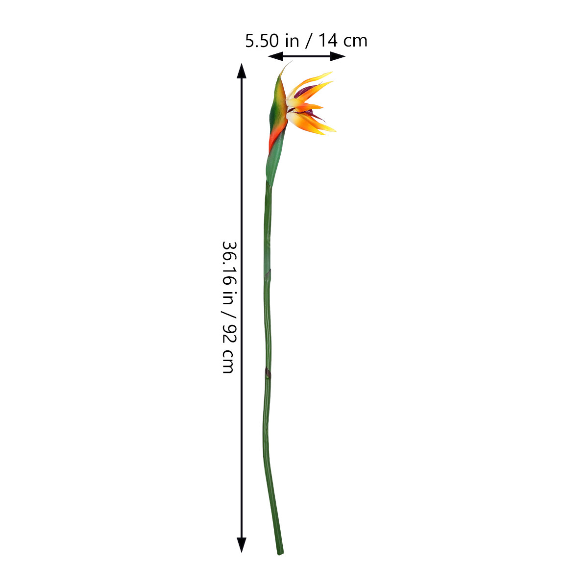 Fiore Artificiale di Strelitzi - Bird Paradise Strelitzia recensione e prezzo