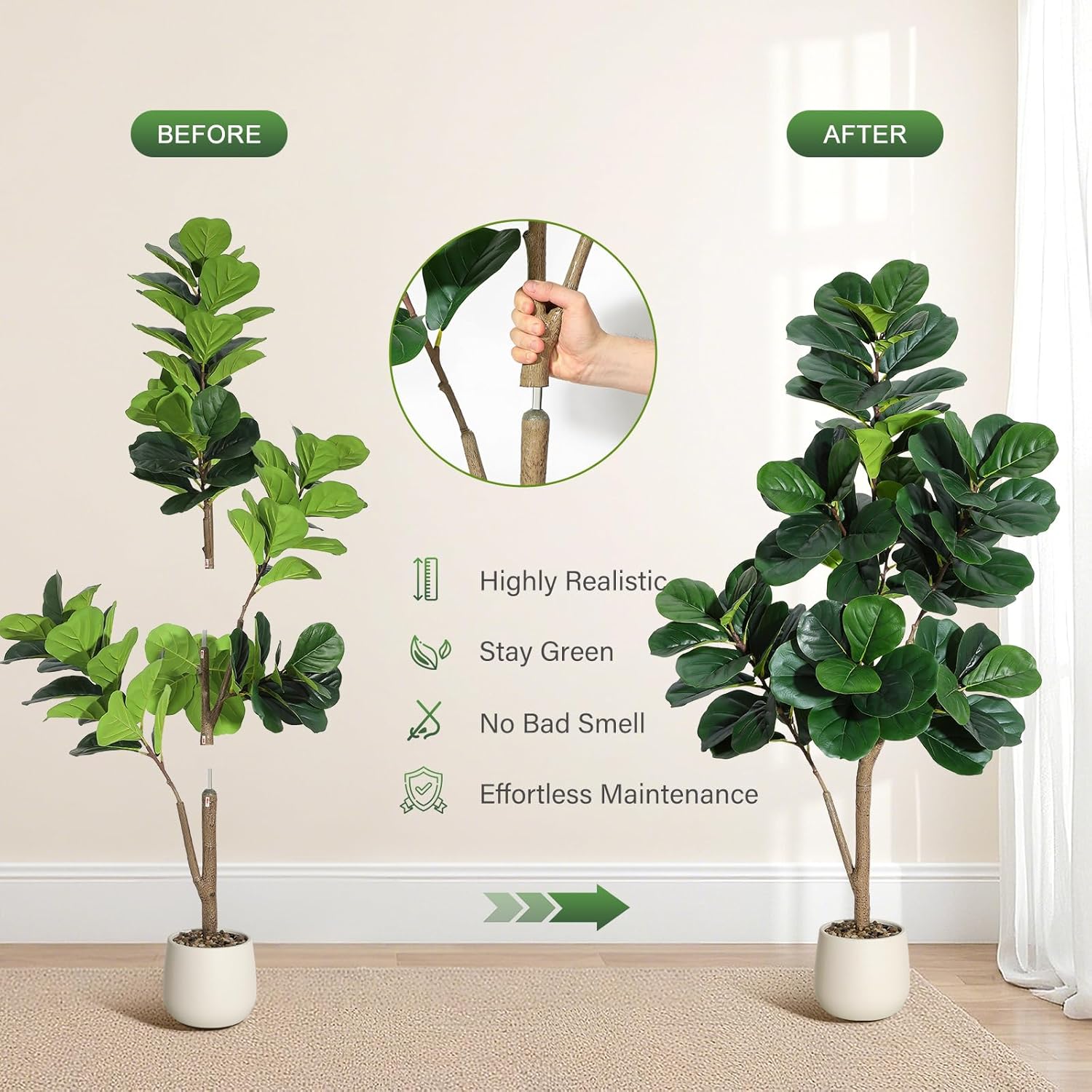 Albero di fico con foglie di v - Ficus Lyrata Tree recensione e prezzo