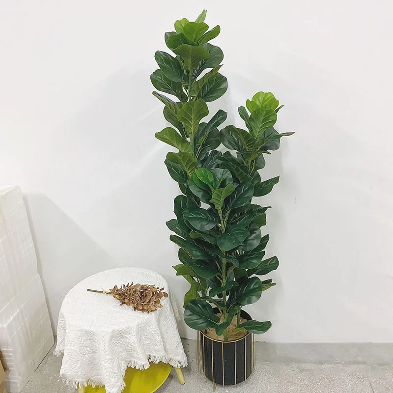 Pianta Artificiale di Ficus Ly - Ficus Lyrata Tree recensione e prezzo