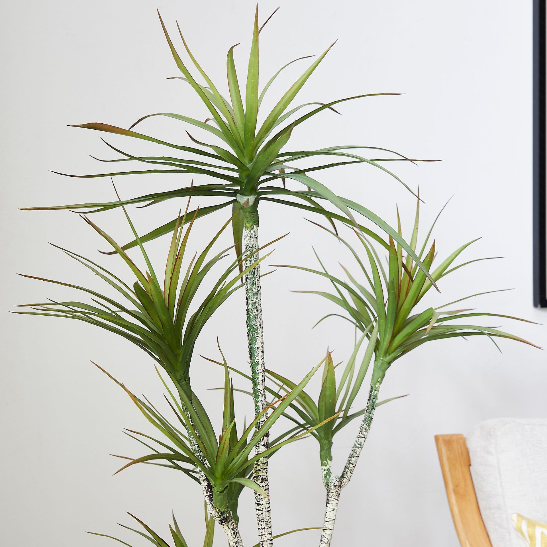 Plastica artificiale in vaso ​ - Dracaena Marginata recensione e prezzo